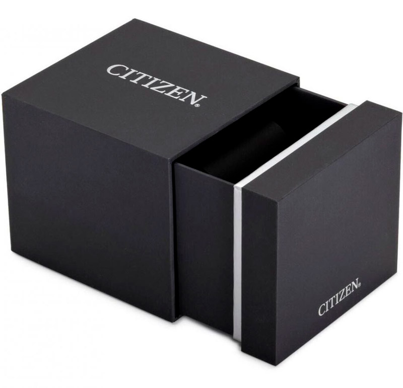 Citizen AN8190-51L Citizen AN8190-51L