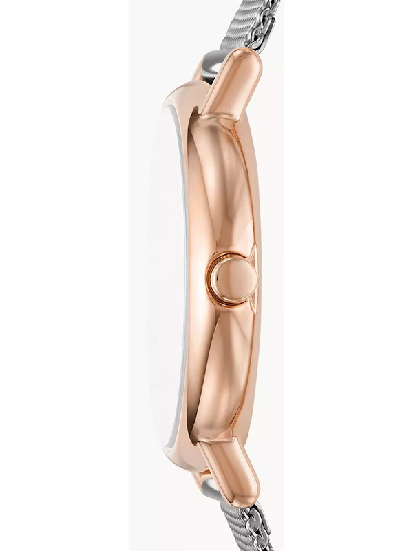 Skagen SKW2996 Skagen SKW2996